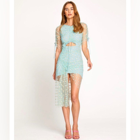 Alice McCall Dresses & Skirts - ALICE McCALL  starry dress fairy coquette balletcore size 4